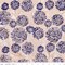 Fabric Riley Blake Coffee Cream Burst Expressions Batiks Let Freedom Reign by the Quarter Yard BT23194-133